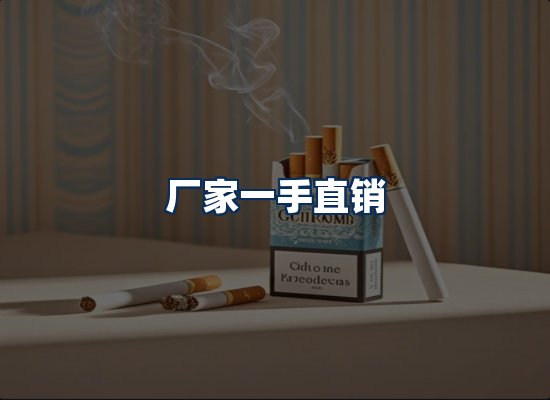 专业团队办公环境